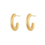 Gold Earrings for Women | Premium INS Style Minimalist Luxury Jewelry - Image 15