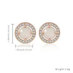 Niche INS Style Diamond Stud Earrings for Women | Luxury Fashion Jewelry - Image 3